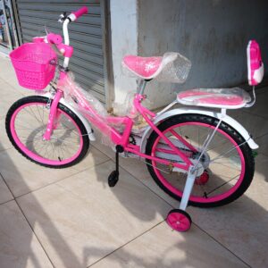 Frozen Size 20 Kids Bike – Pink Bicycle with Training Wheels for Ages 6–10